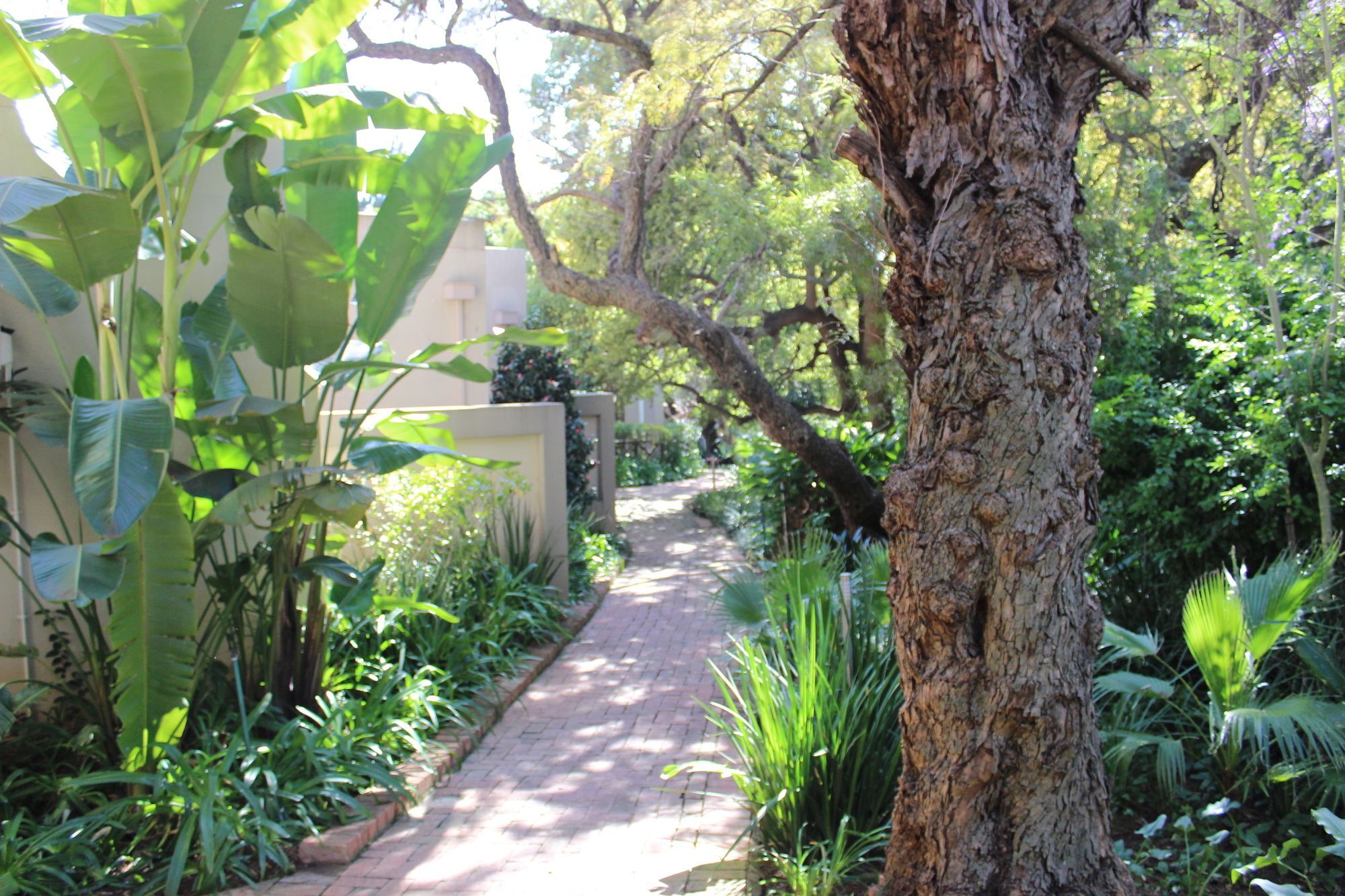 Village Ridge Boutique Stays Pretoria-Noord Buitenkant foto